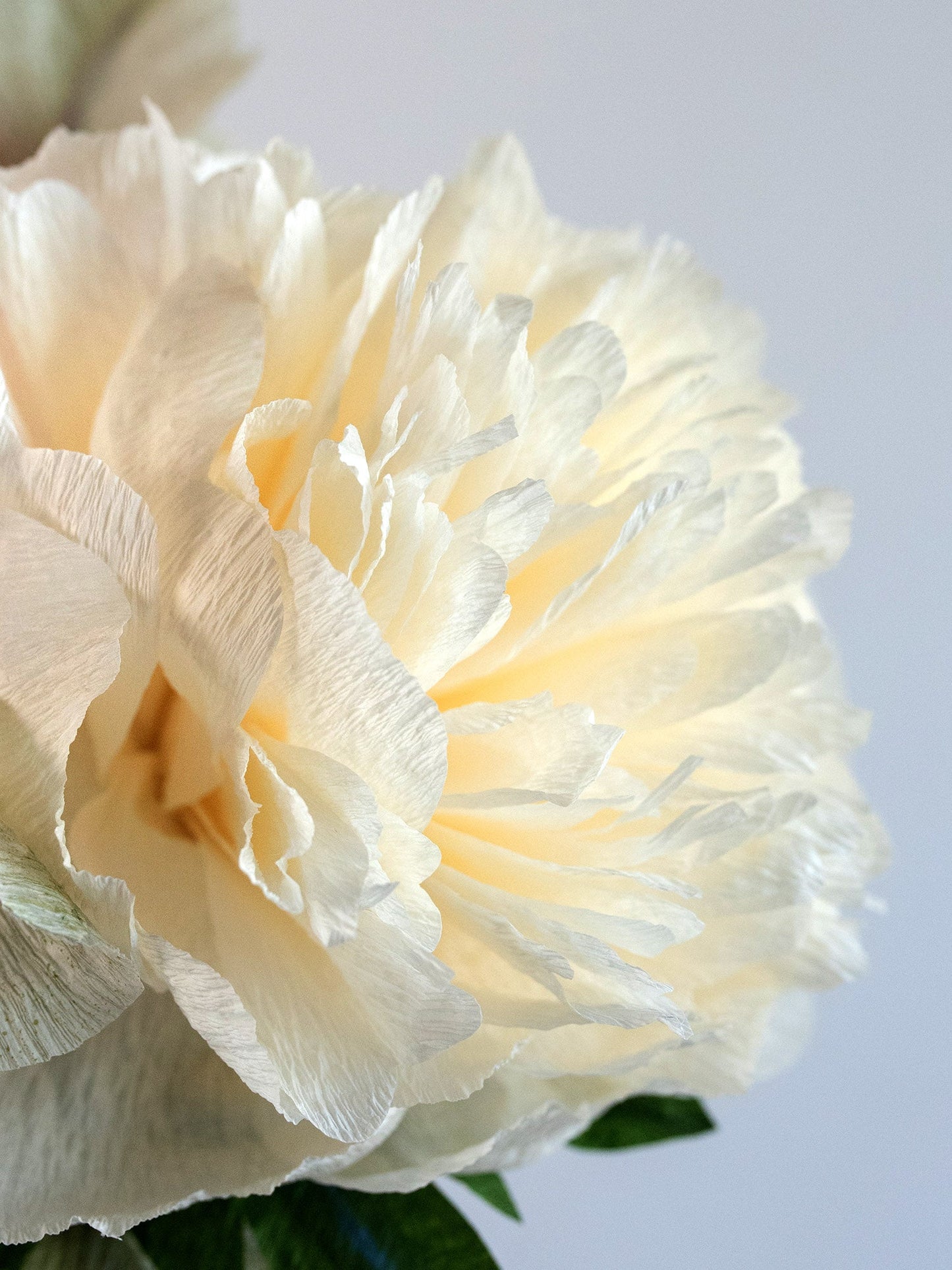 Peony for Your Thoughts | Assorted Paper Peony Bouquet