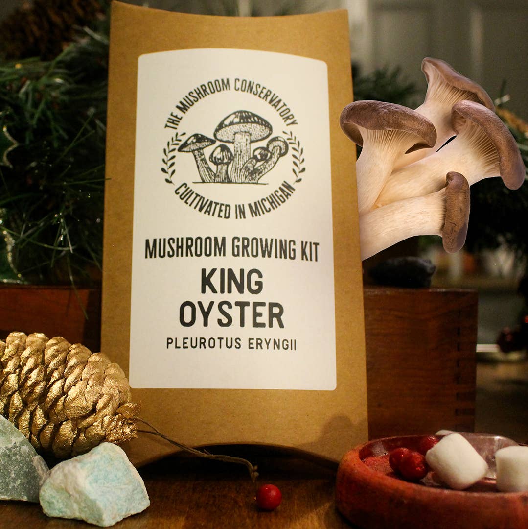 King Oyster Edible Gourmet Mushroom Growing Kit