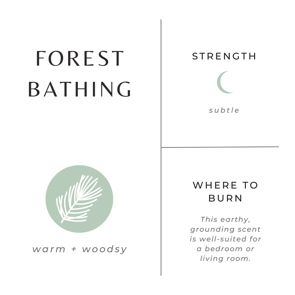 Forest Bathing - Fir + Pine + Patchouli Travel Tin Candle