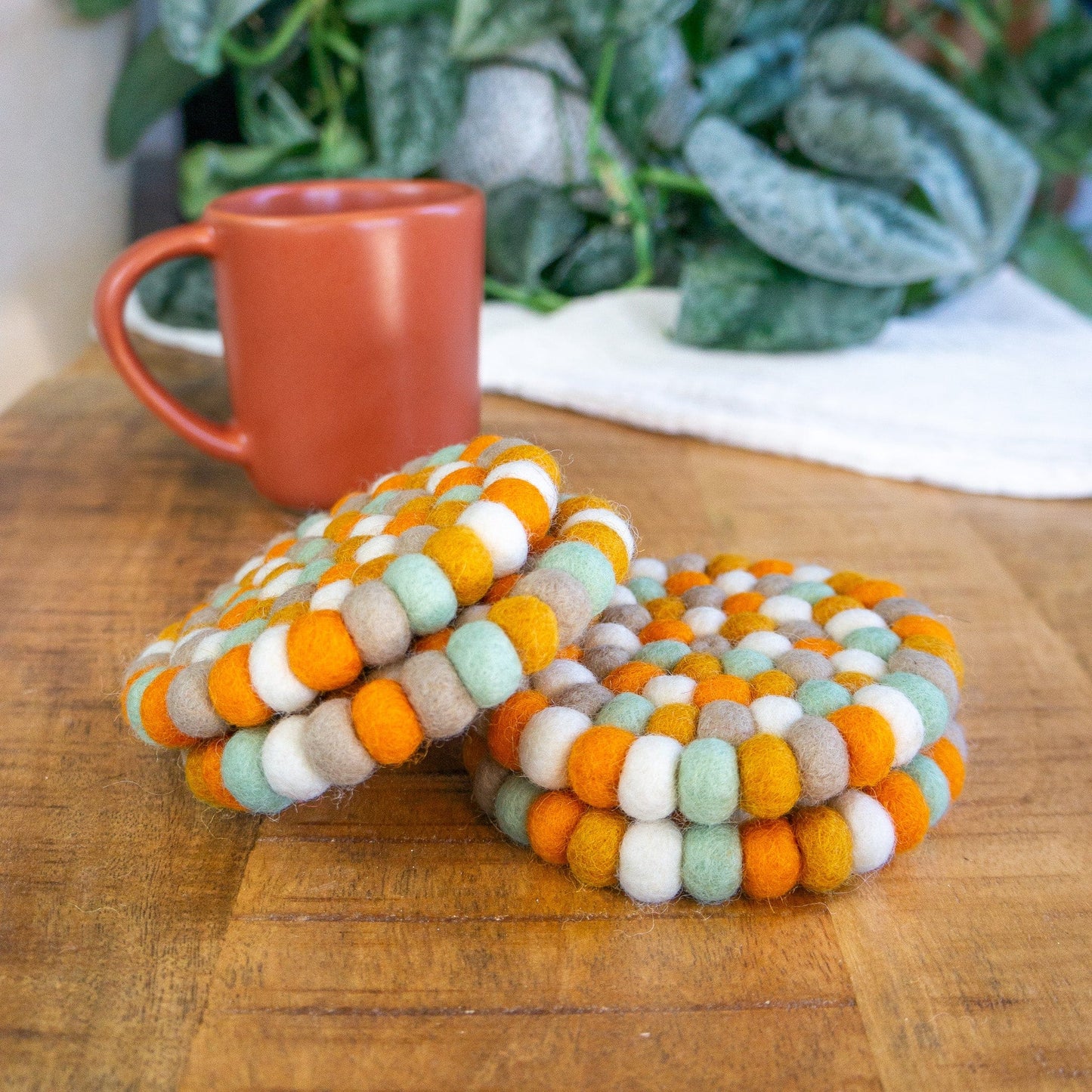 Pumpkin Patch Eco Coasters/Trivets