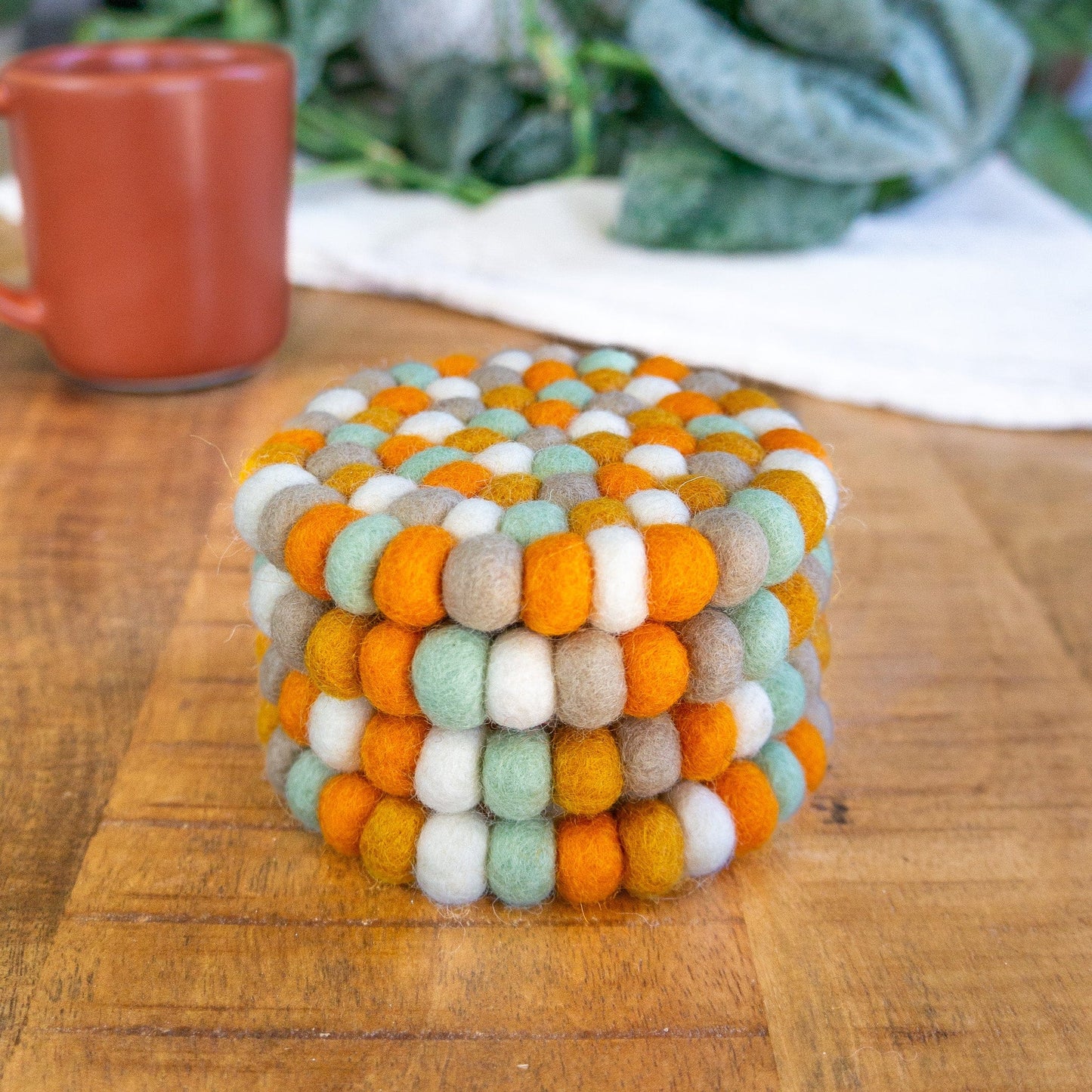 Pumpkin Patch Eco Coasters/Trivets