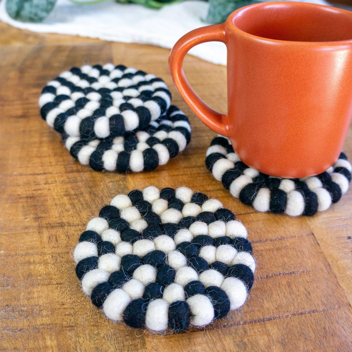 The Witch Is In Eco Coasters/Trivets