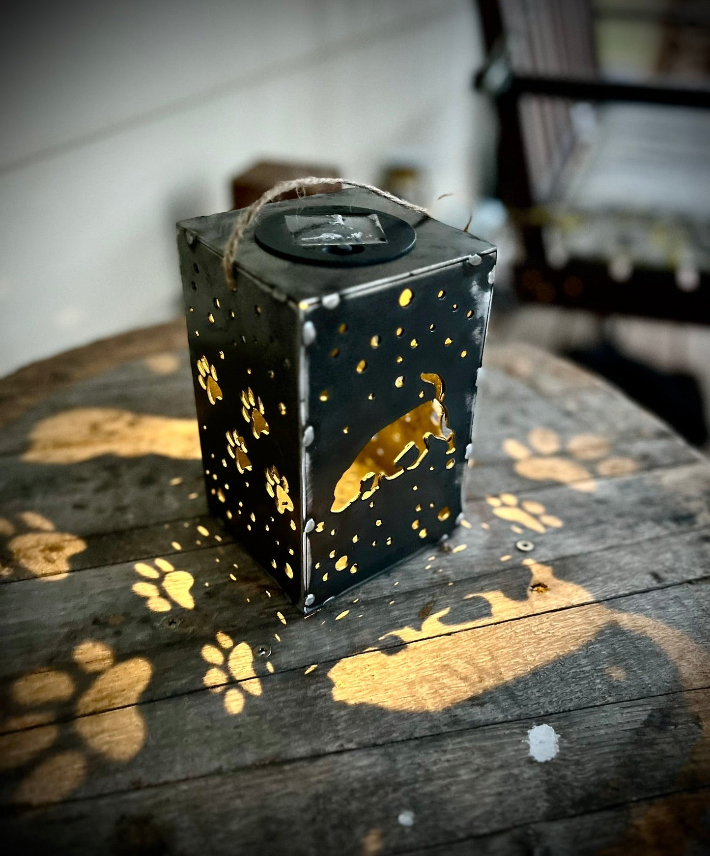 Hanging Steel Solar Puppy Cube | 6.5 in. | Pick a Breed