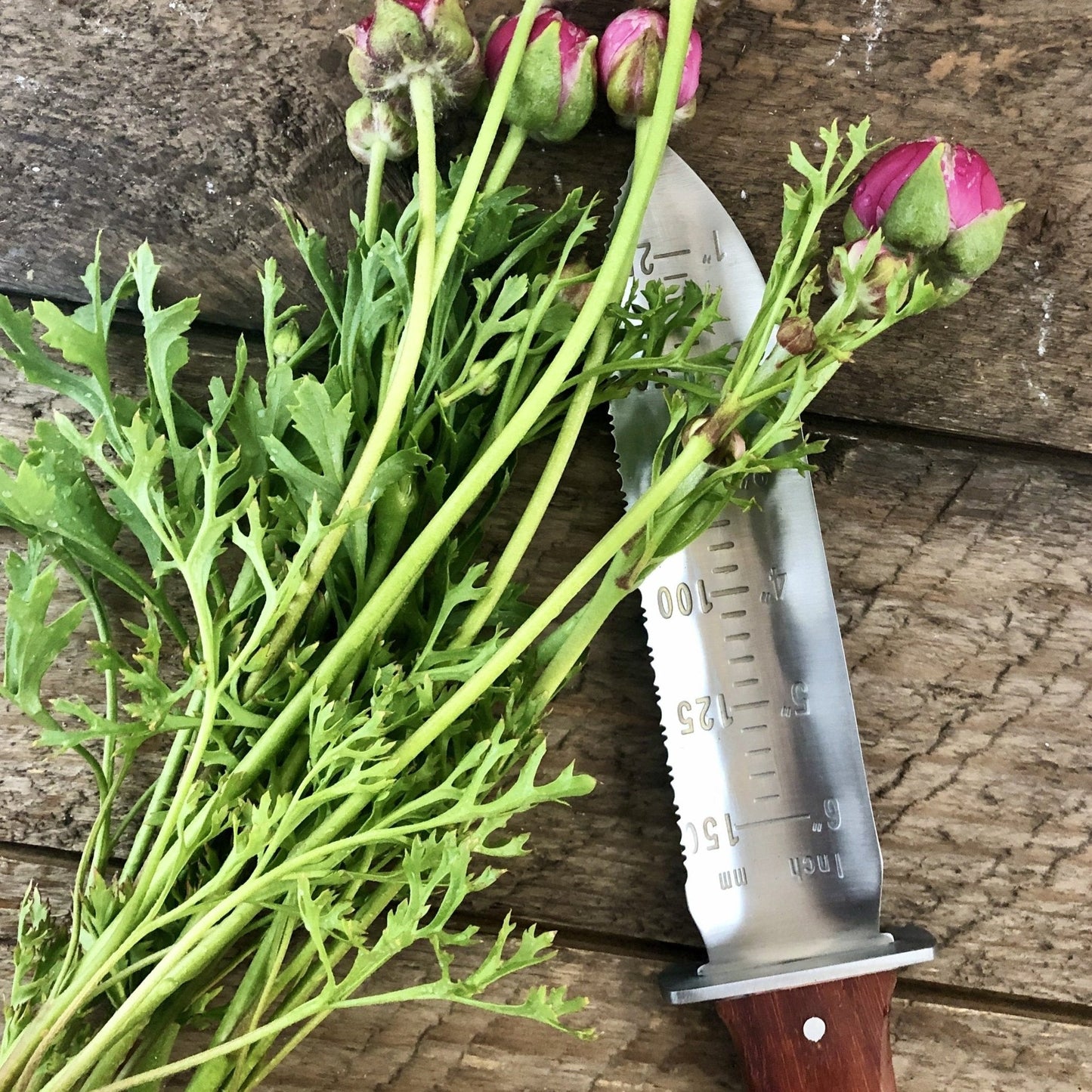 Hori Hori Garden Tool — Japanese SoilTool for Digging & Planting