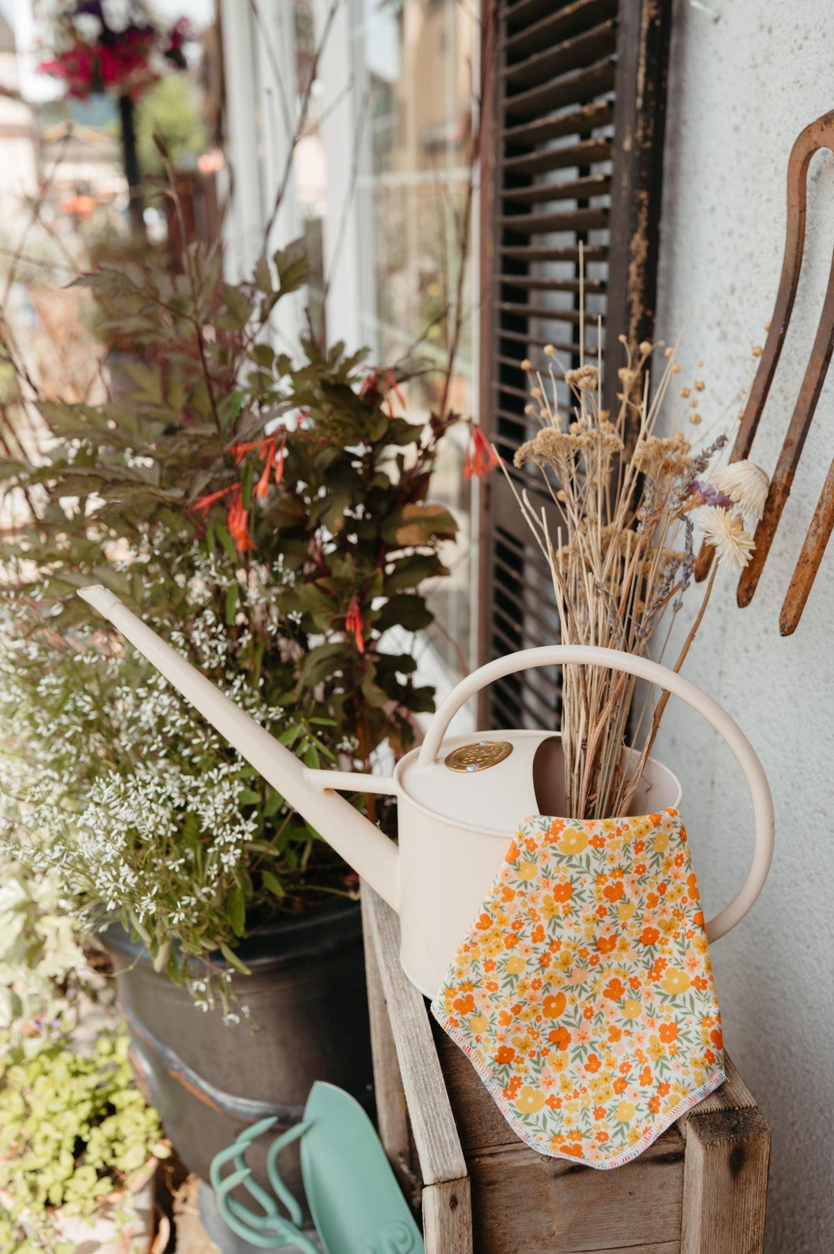 Reusable Paper Towels--Botanist’s Essay