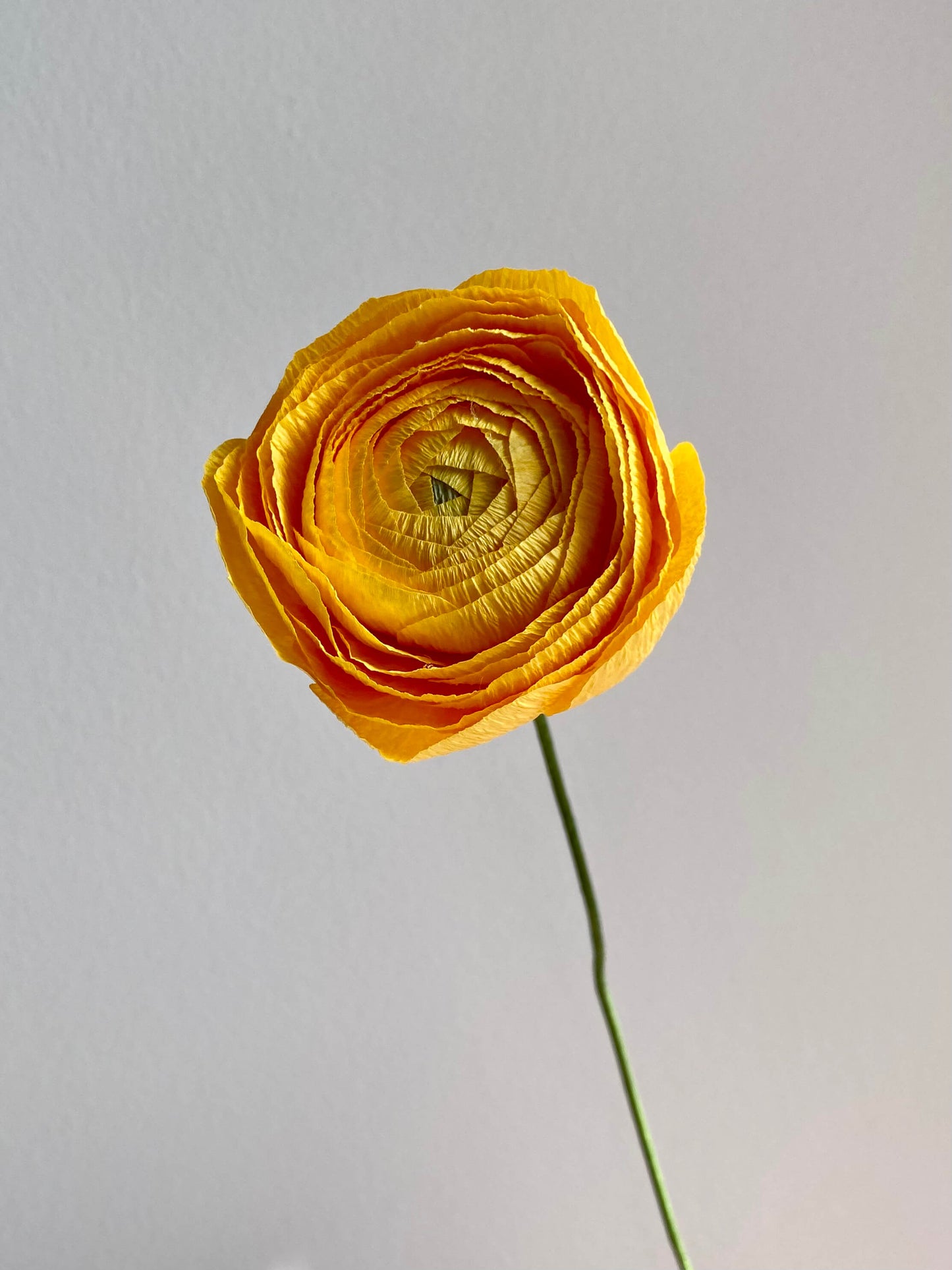 Ranunculus Single Stem | Paper Flower Decor