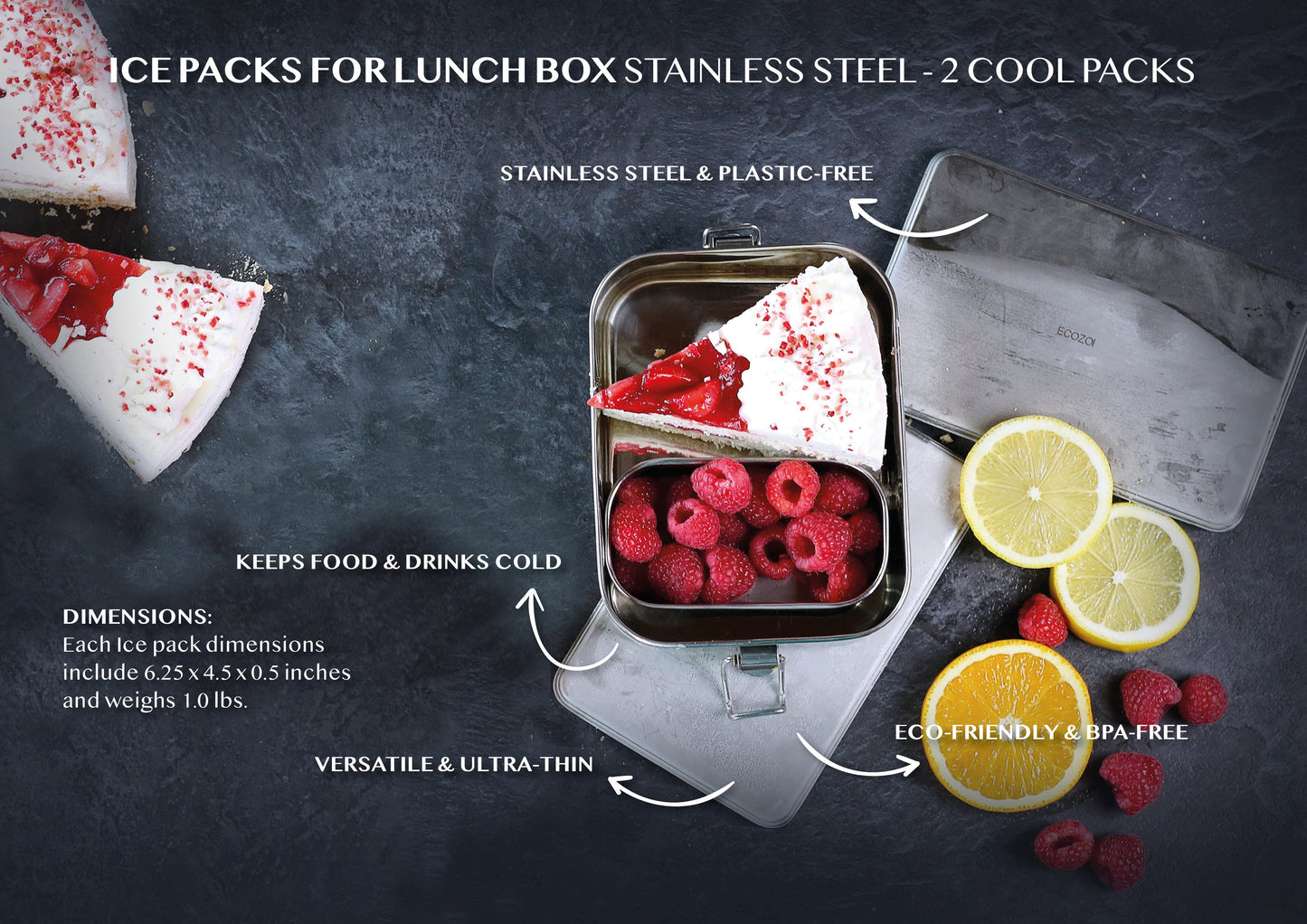Stainless Steel Freezer PACKS FOR LUNCH Boxes and Lunch Bags, 2 Pack