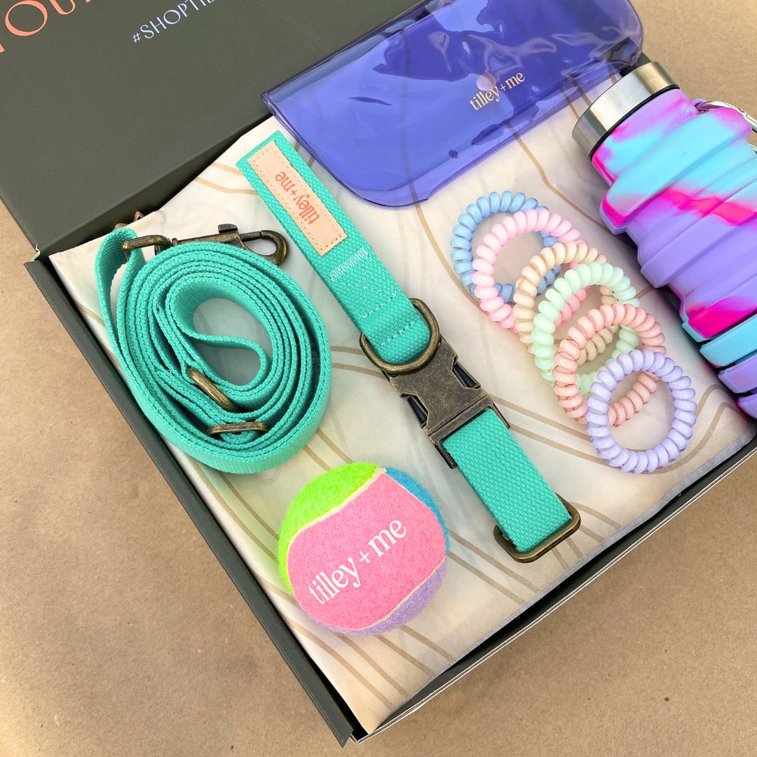 Malibu Sunset Sustainable Hemp Cotton Adjustable Dog Collar – Durable & Soft