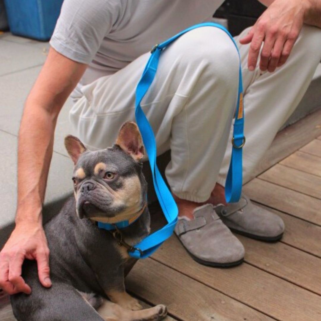 Malibu Sunset Sustainable Hemp Cotton Adjustable Dog Collar – Durable & Soft