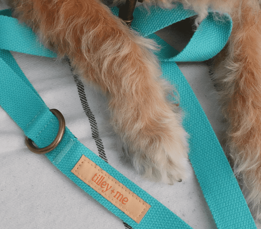 Malibu Sunset Sustainable Hemp Cotton Adjustable Dog Leash – Durable & Soft