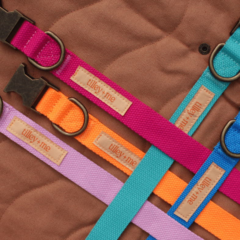 Malibu Sunset Sustainable Hemp Cotton Adjustable Dog Collar – Durable & Soft