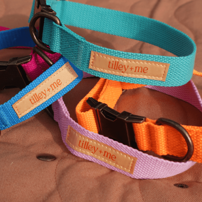 Malibu Sunset Sustainable Hemp Cotton Adjustable Dog Collar – Durable & Soft