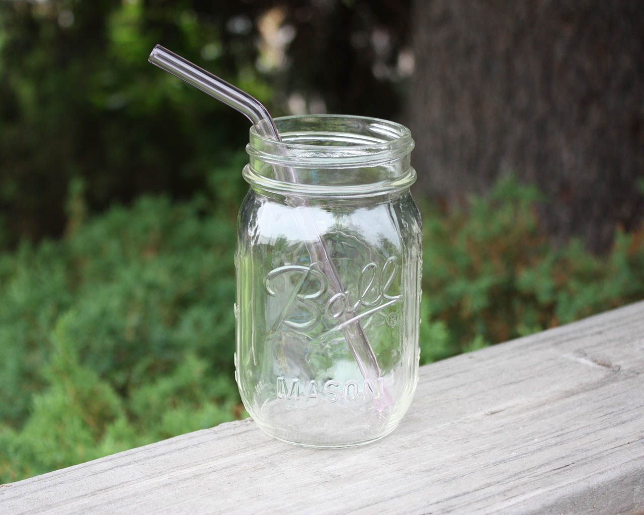 Individual Stainless Steel & Glass Straws for Mason Jars