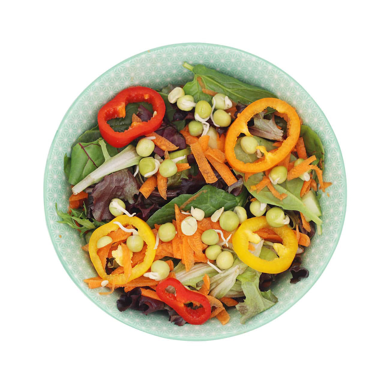 Curved Rust Proof Sprouting Lid and Band for Mason Jars