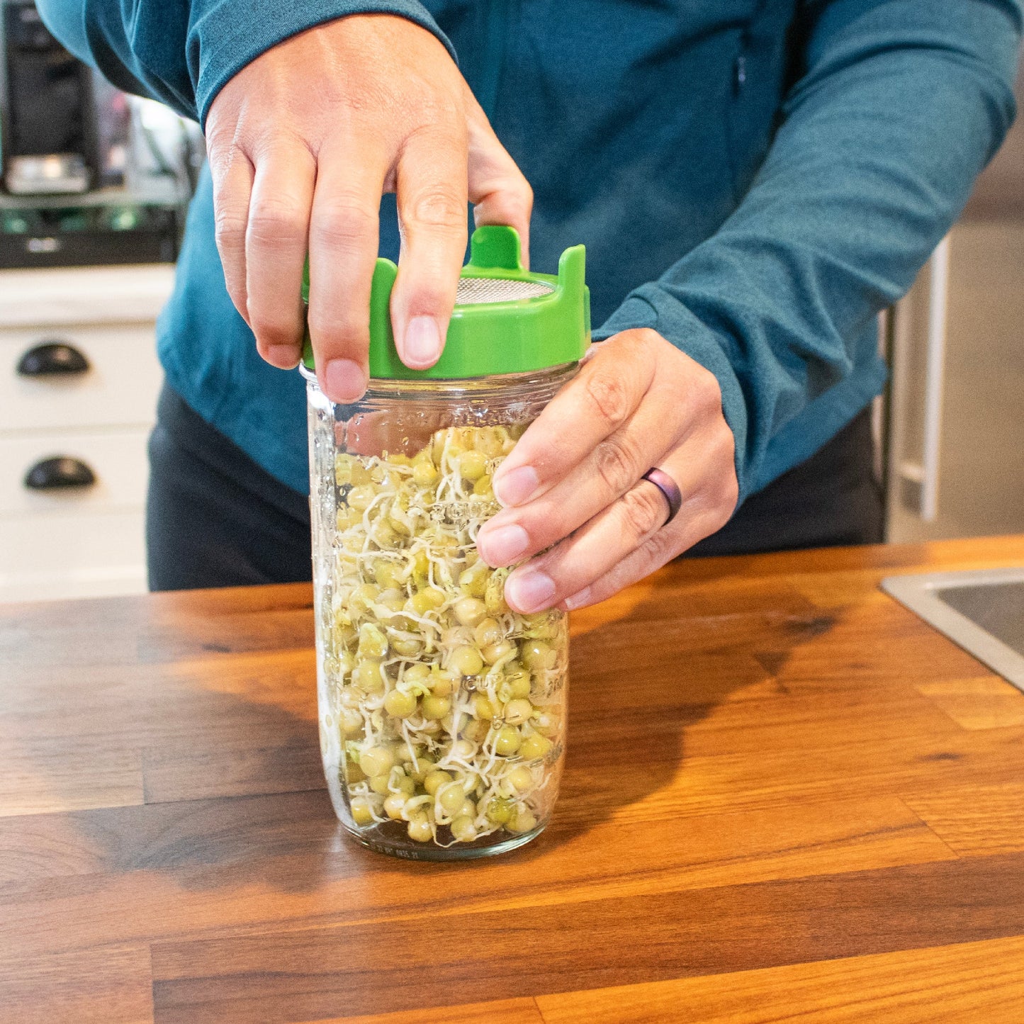 Rust Proof Sprouting Lid with Built-In Stand for Wide Mouth Mason Jars