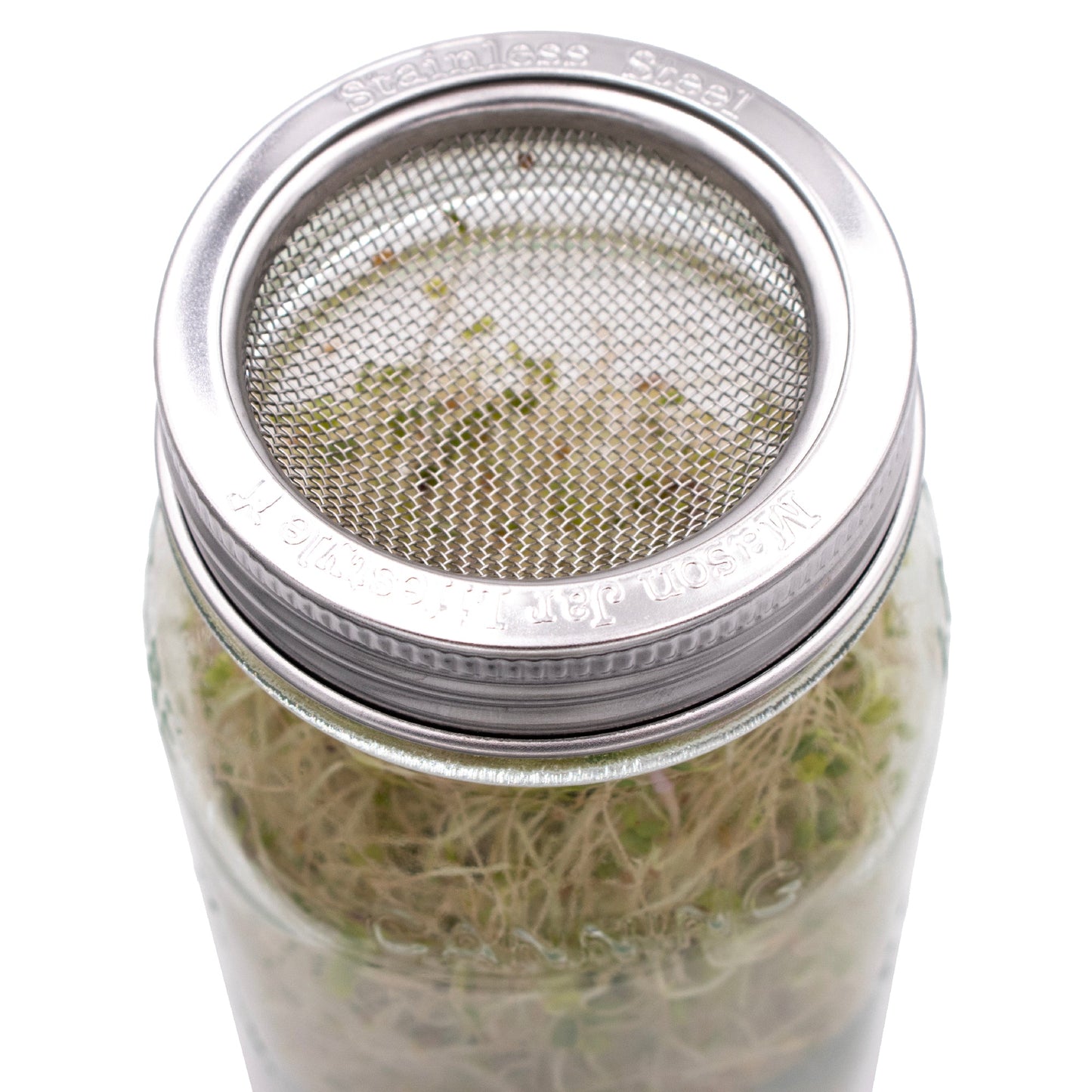 Curved Rust Proof Sprouting Lid and Band for Mason Jars