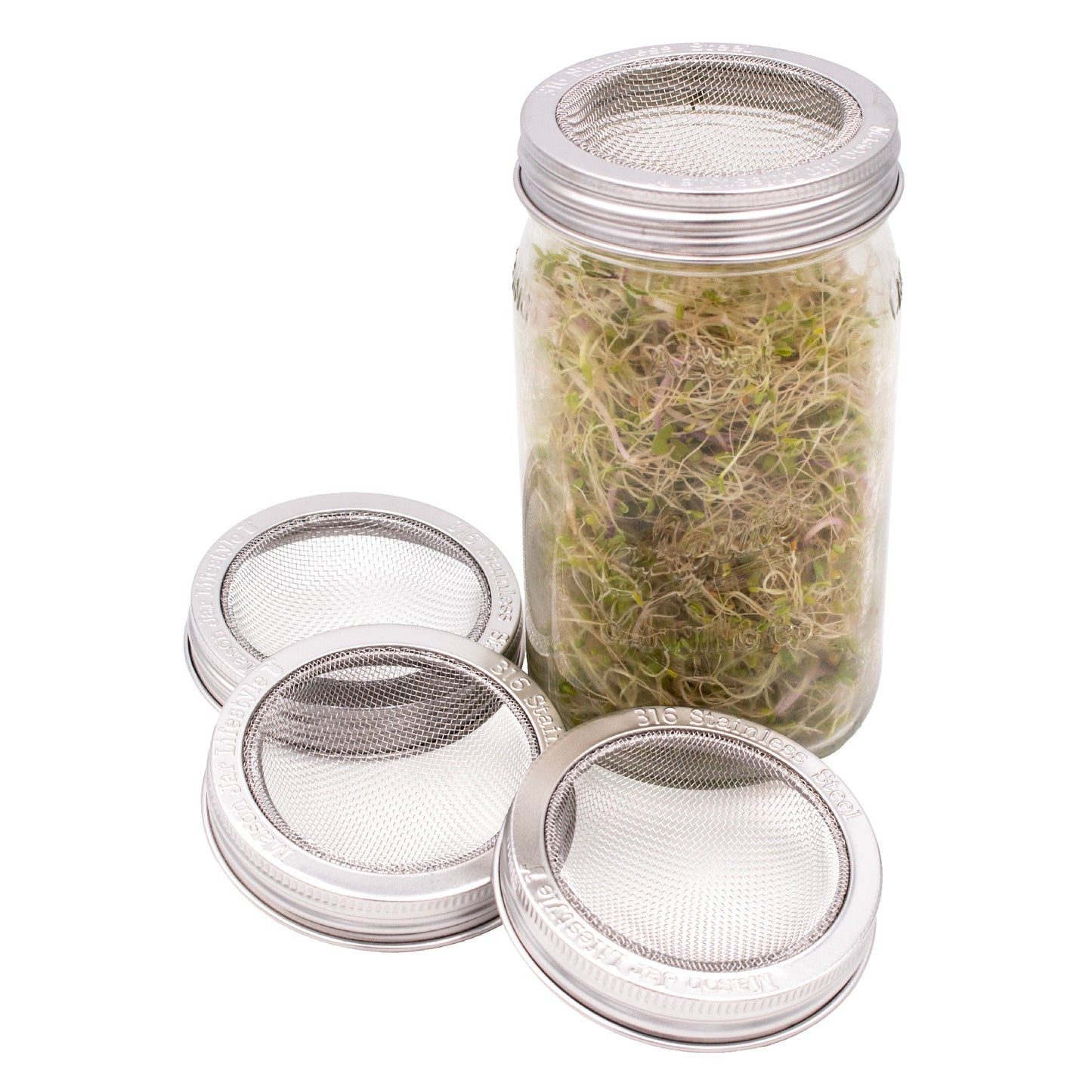 Curved Rust Proof Sprouting Lid and Band for Mason Jars