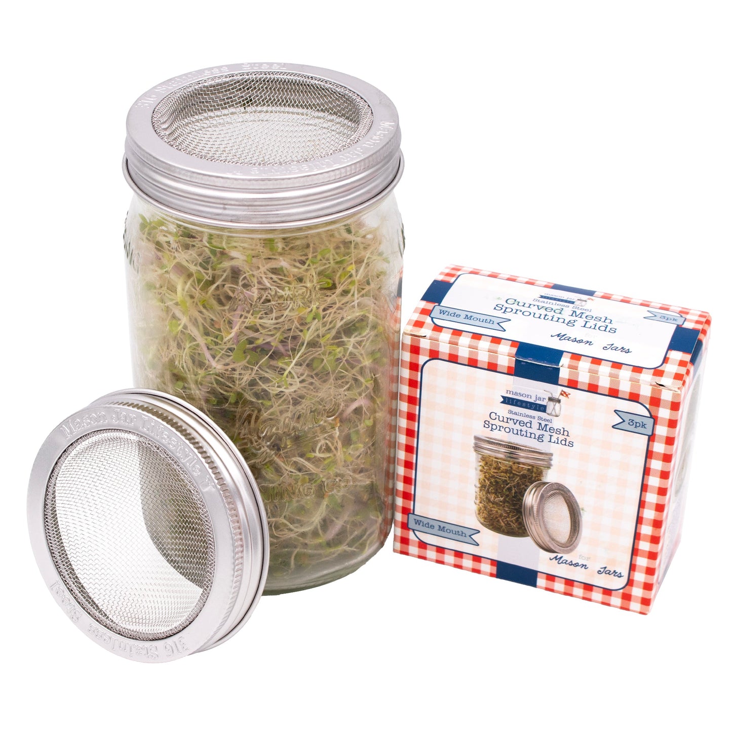 Curved Rust Proof Sprouting Lid and Band for Mason Jars