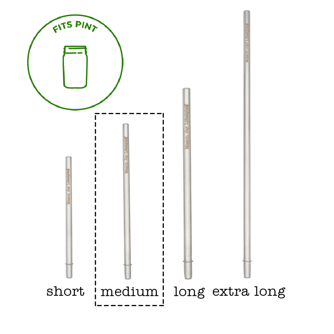 Individual Stainless Steel & Glass Straws for Mason Jars