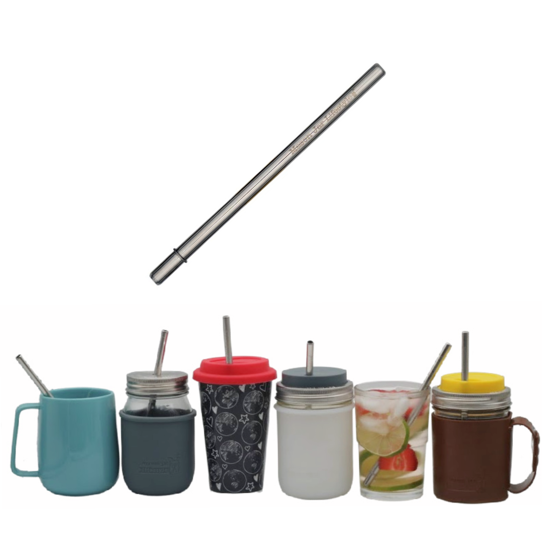Individual Stainless Steel & Glass Straws for Mason Jars