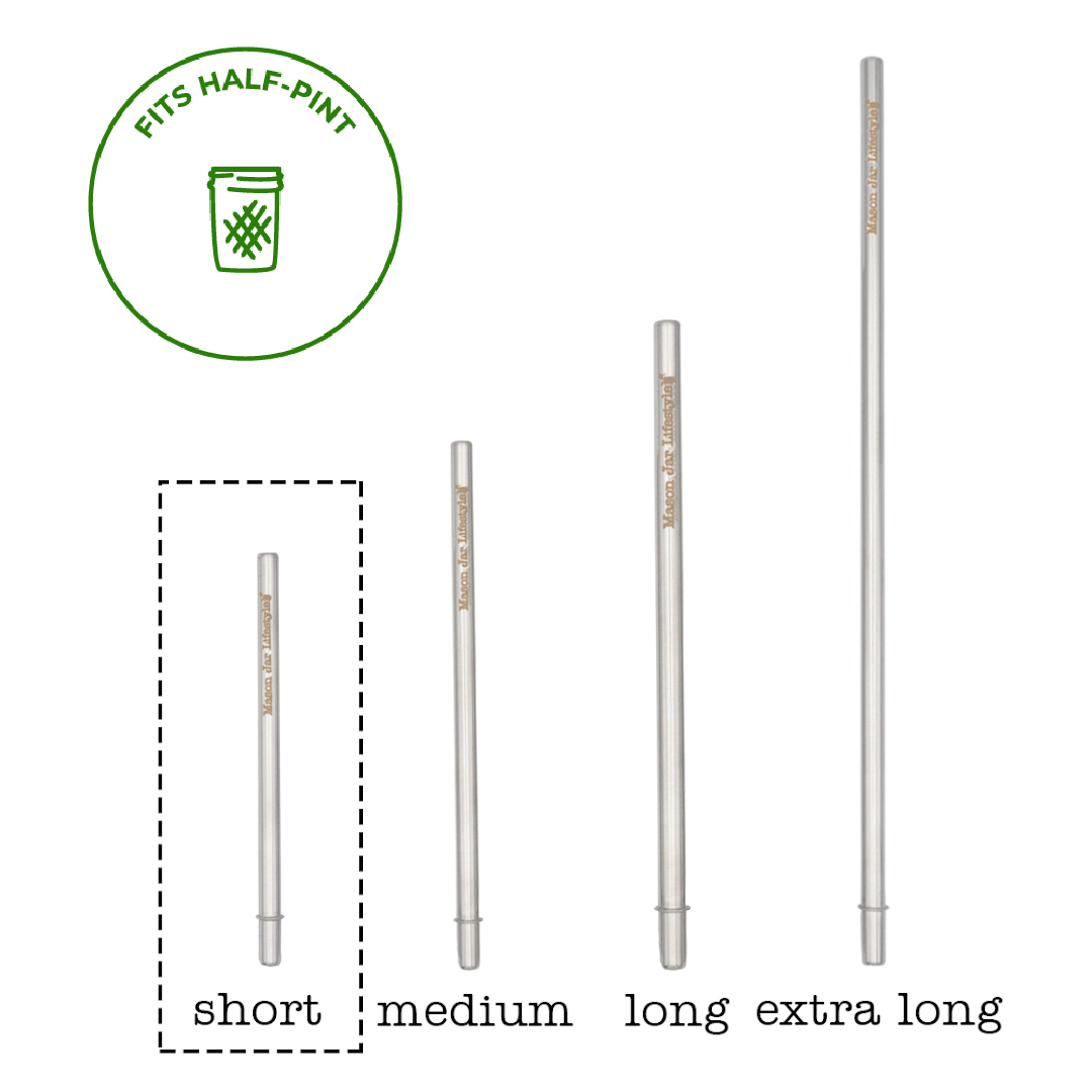 Individual Stainless Steel & Glass Straws for Mason Jars