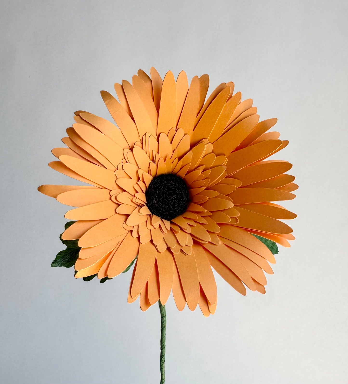 Gerber Daisy Single Stem | Handcrafted Paper Flower