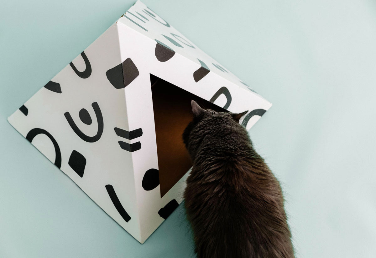 'Doodle' Cardboard Cat Pyramid