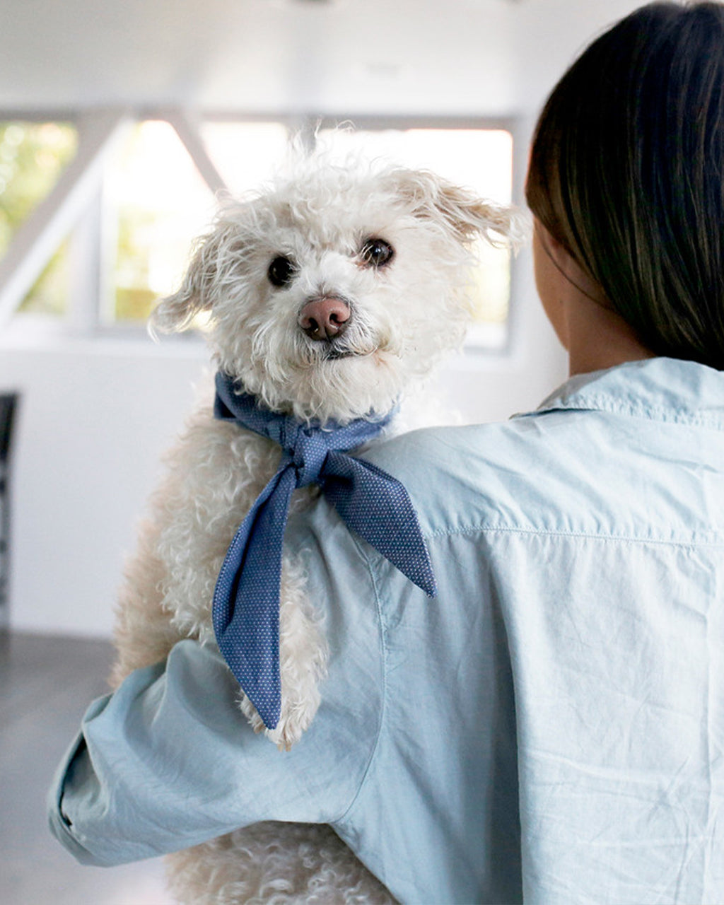CLASSIC NECKTIE