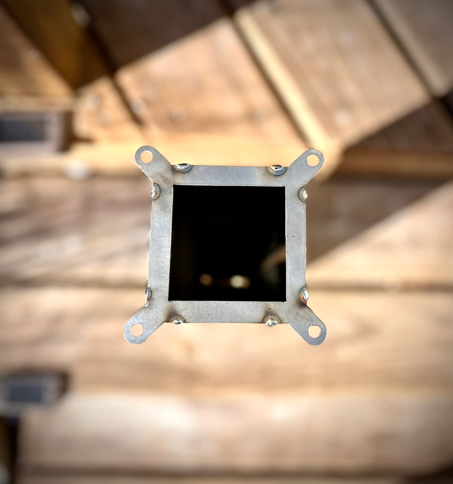 Pine Tree Night Sky Luminary Tube w/ Solar Cap | 12-inch, 14-inch, 16-inch