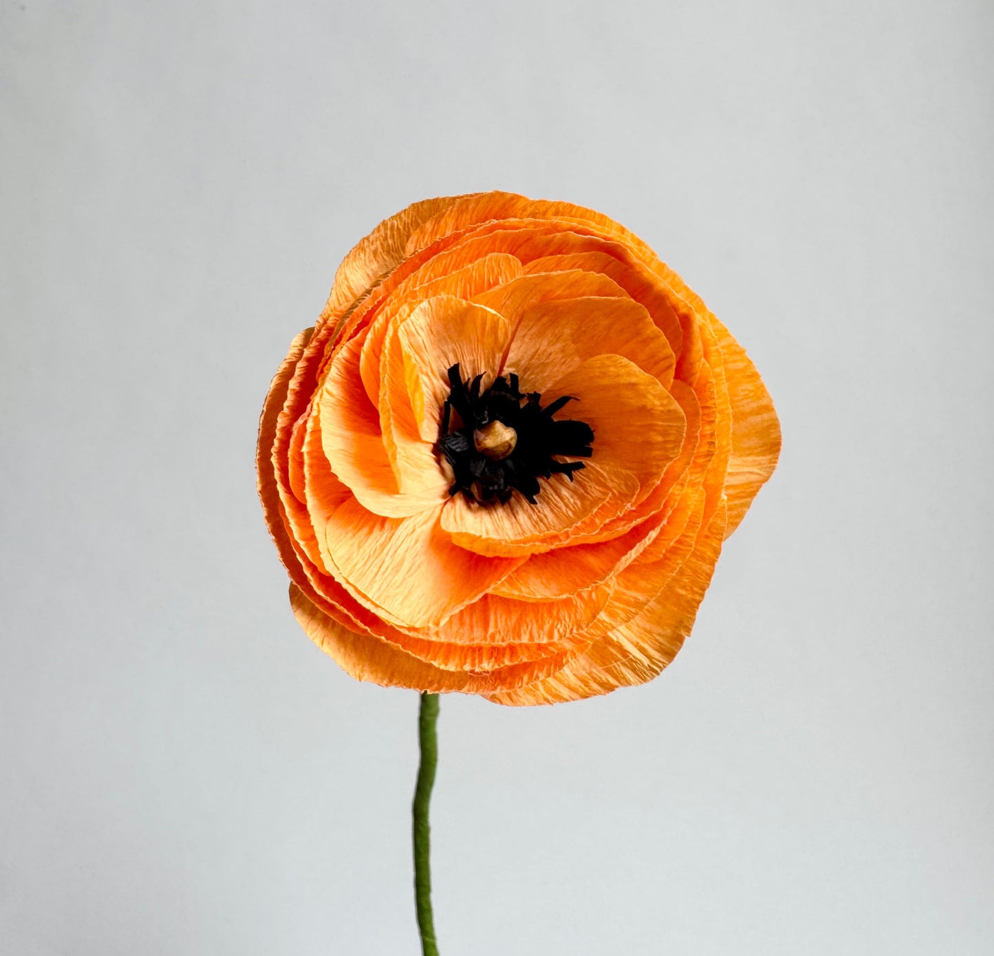 Butterfly Ranunculus Single Stem | Handcrafted Paper Flower