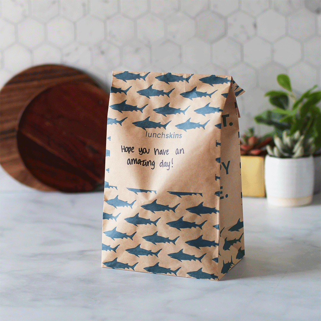 Compostable  Large Lunch Sacs
