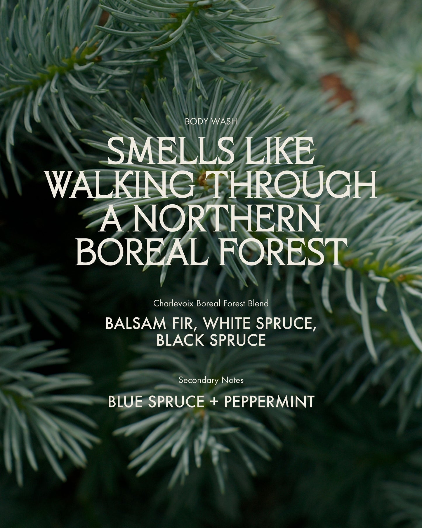Body Wash Refill Charlevoix Boreal Forest Blend
