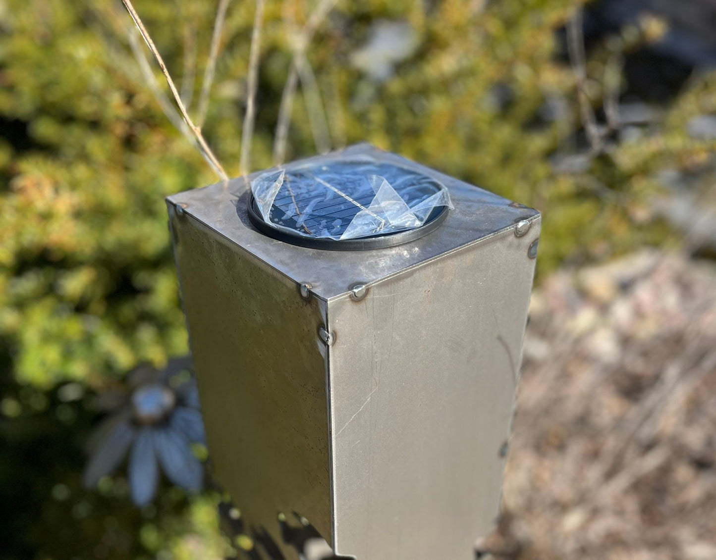 School of Fish Luminary Pillar | 30-inch