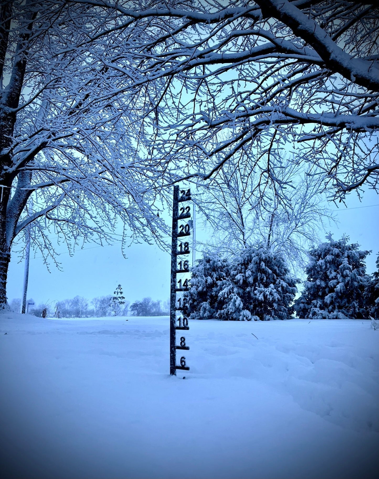 Simple Steel Snow Gauge - 12-inch, 24-inch, 36-inch