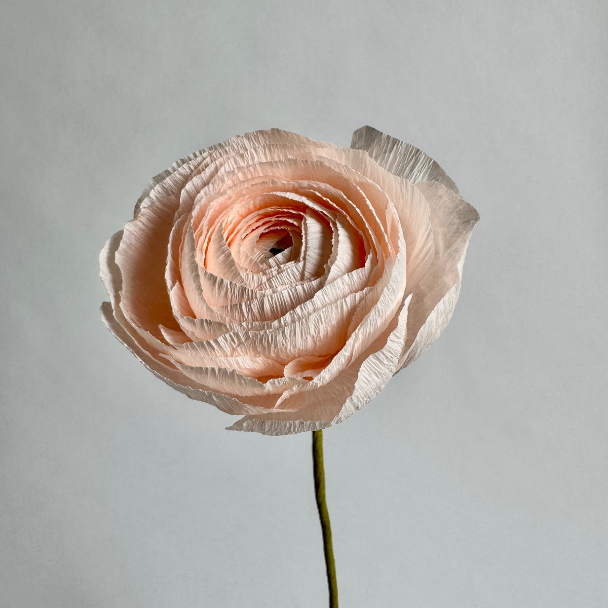 Paper Flower Ranunculus Ranunculus Single Stem | Paper Flower Decor – Bluedot Living Collection