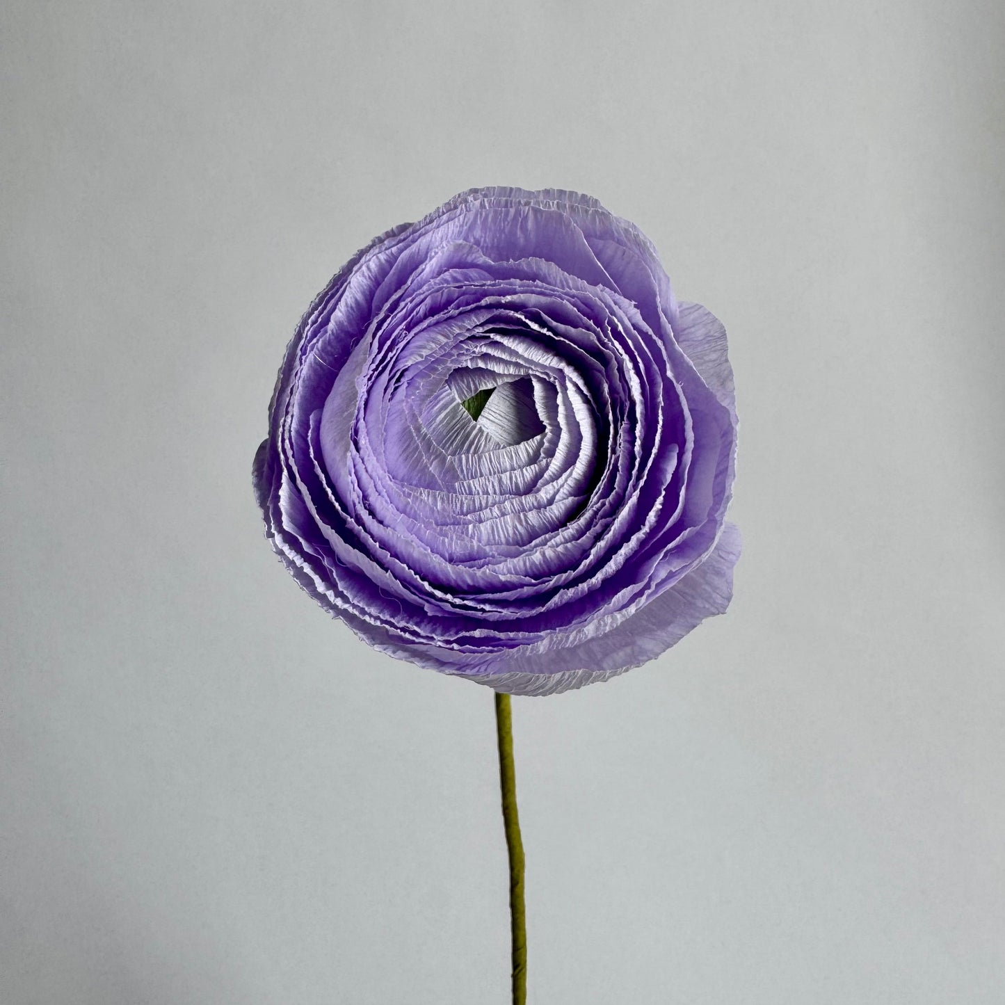 Ranunculus Single Stem | Paper Flower Decor
