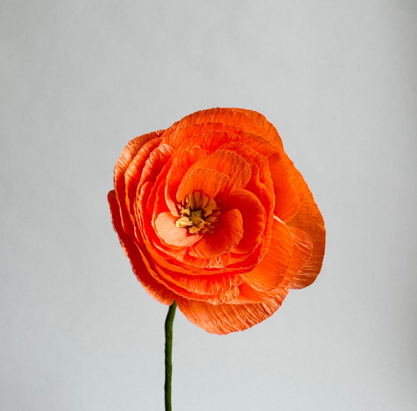 Butterfly Ranunculus Single Stem | Handcrafted Paper Flower