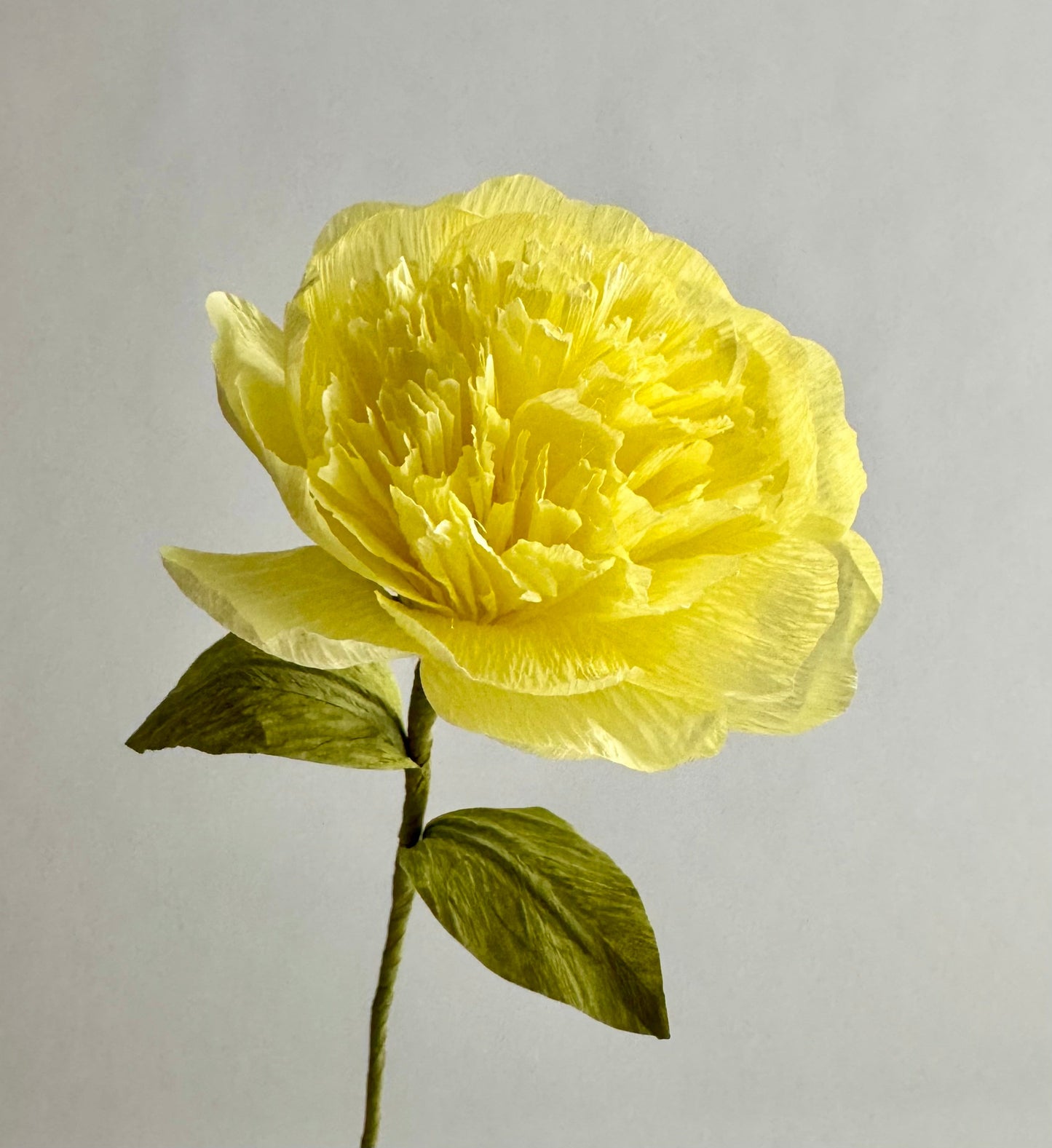 Carnation Single Stem | Handcrafted Paper Flower